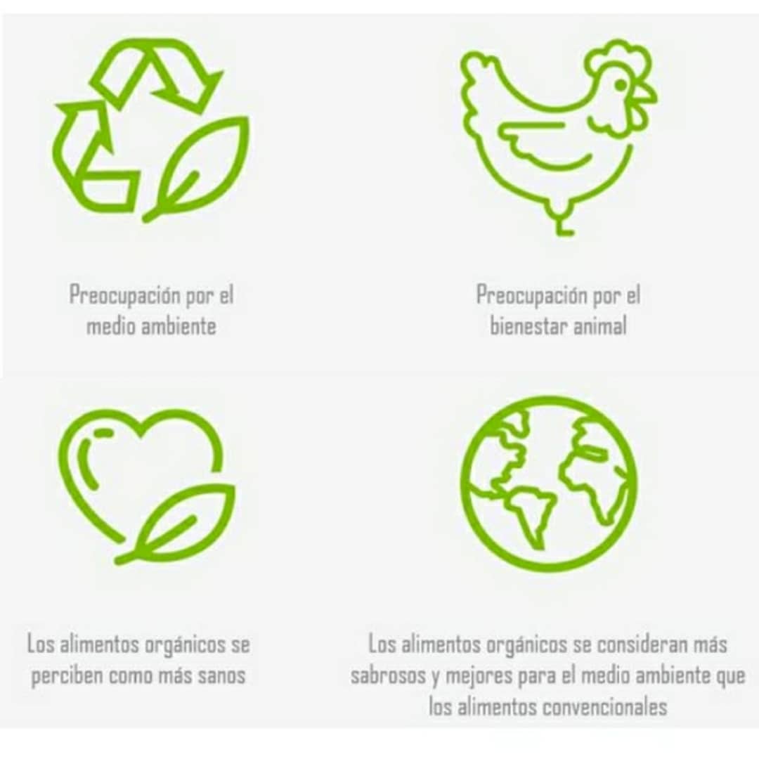 alimrentació ecológica